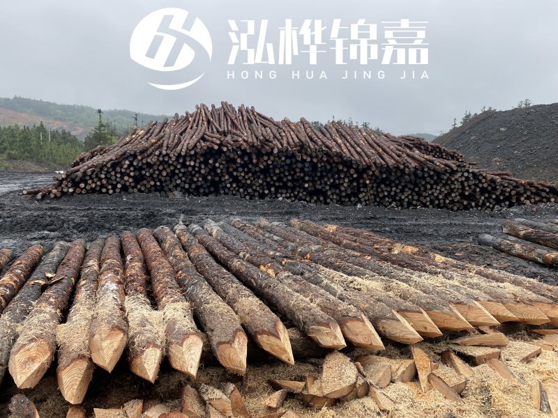 6米長松木樁有哪些作用，多少錢一根？