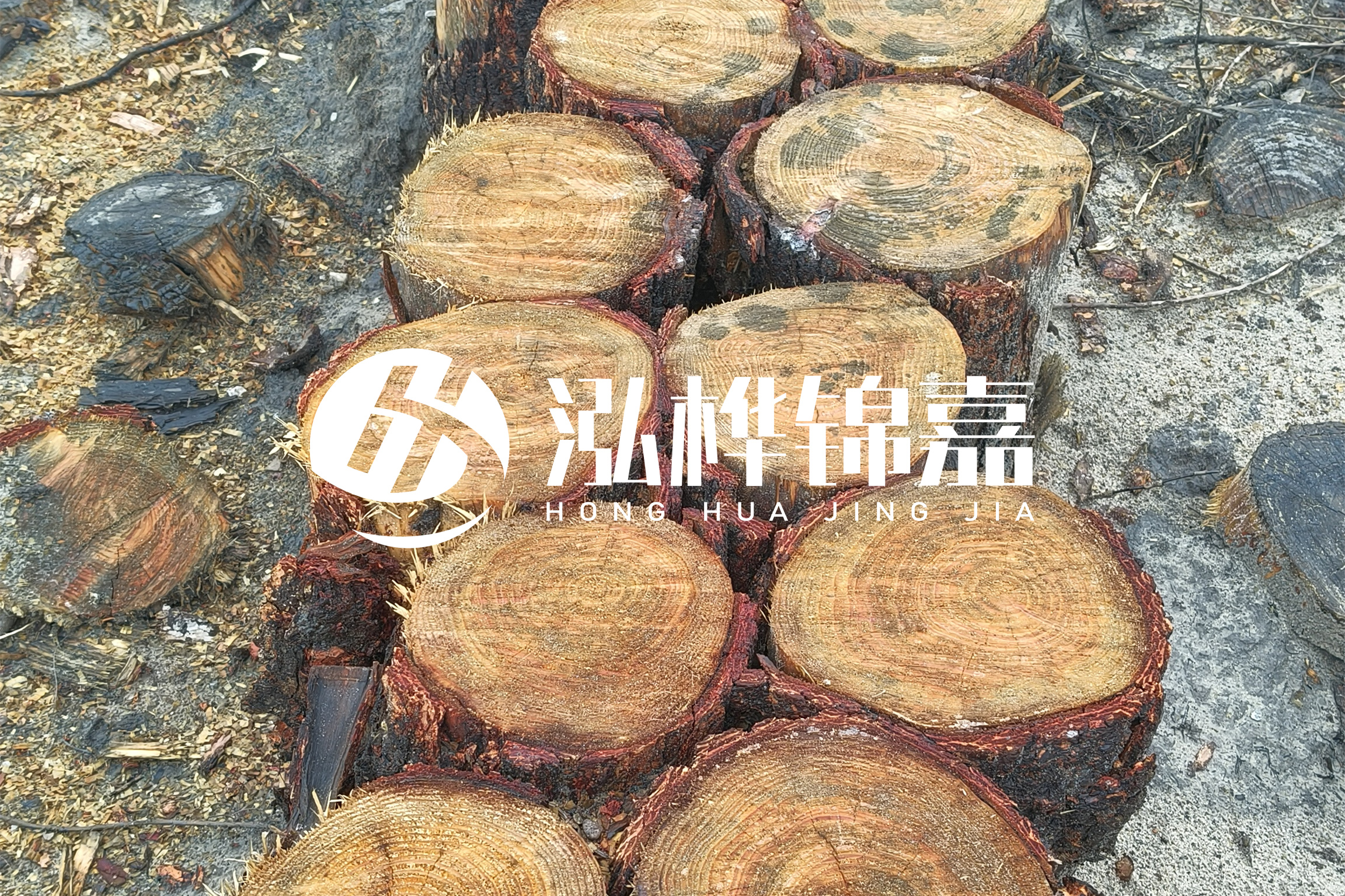 浙江臺州有清淤的公司嗎？浙江臺州有清淤施工隊嗎？