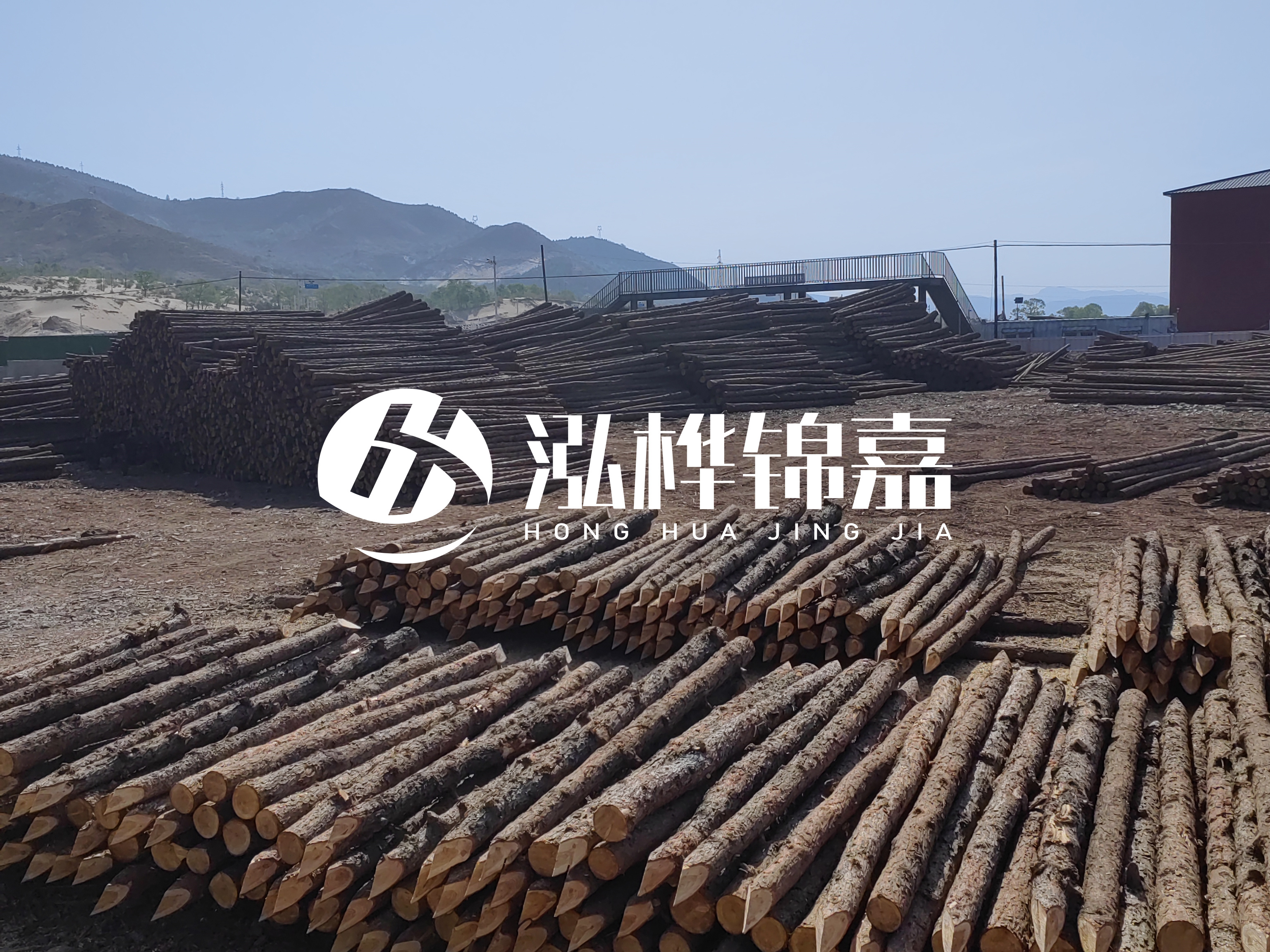 江蘇打樁木源頭廠家泓樺錦嘉-4米打樁木大頭14-16小頭一般多少？