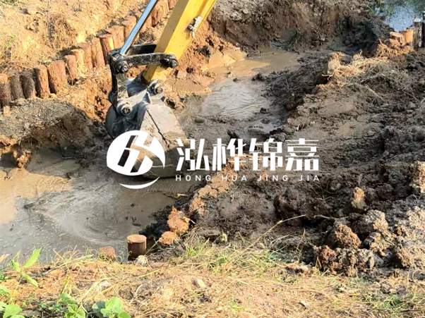 廣東松木樁批發(fā)廠家 - 3 米小頭 8CM 松木樁多少錢？