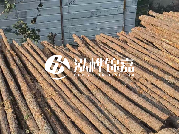 松木樁打樁后清淤怎么處理？有沒有全包的公司？