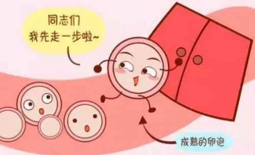 寧波試管嬰兒價(jià)格：注意懷孕中期這些暗示你胎停育的征兆