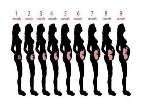 孕婦順產(chǎn)之前需要多少次的內(nèi)檢檢查？